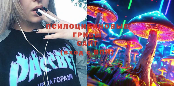 гашик Беломорск