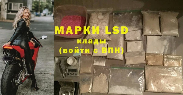 гашик Беломорск